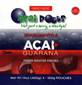 Açai + Guarana Frozen Smoothie Pouches - 14oz (400g) 4-100g Pouches 